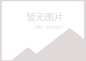 偃师惜雪采矿有限公司